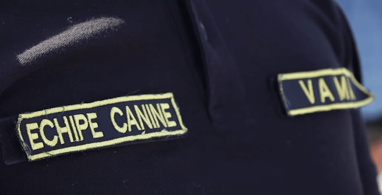 Autoritatea vamală - demonstrații canine